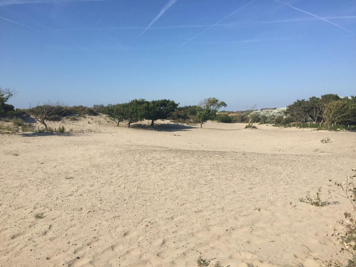 Antonia Beach House Haga Zewnętrze zdjęcie